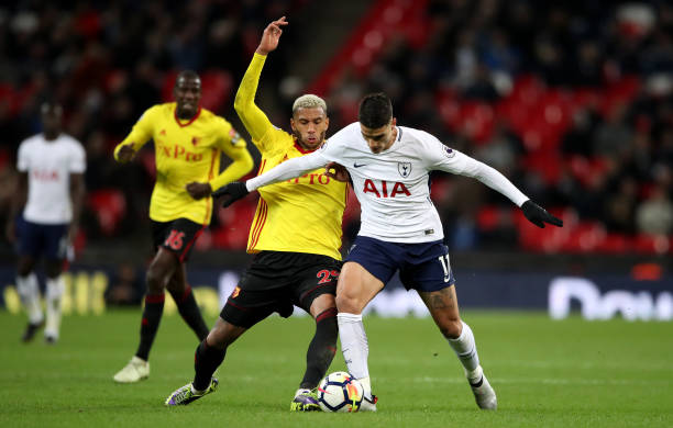 仅是森林狼 仅是森林狼