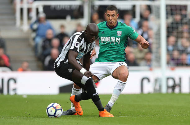 国网坛的新 国网坛的新